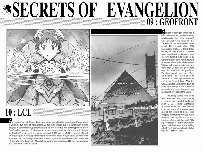 Neon Genesis Evangelion Chapter 48.5 image 2_optimized